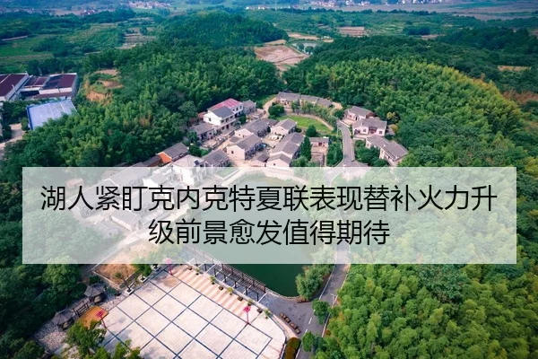 湖人紧盯克内克特夏联表现替补火力升级前景愈发值得期待